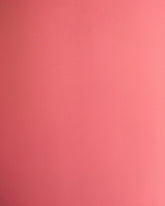 Aperturee - Coral Solid Color Photo Studio Backdrop For Portrait